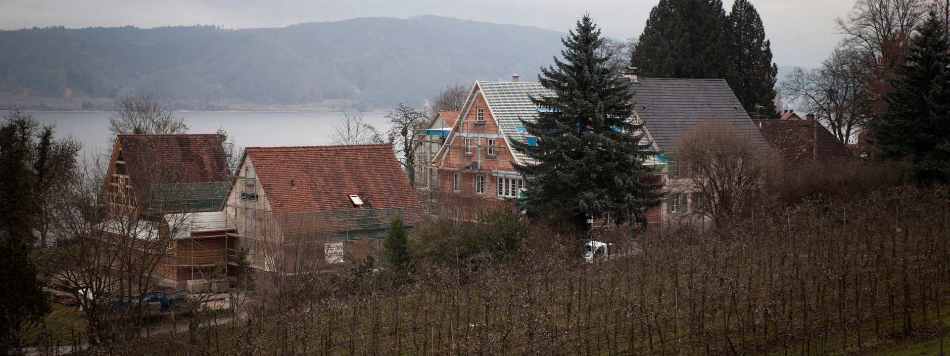 Obstgarten mit Adlerensemble im Bau