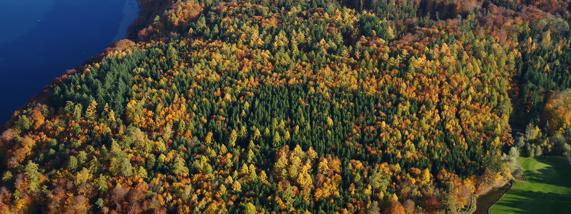 Der Mischwald im Herbst