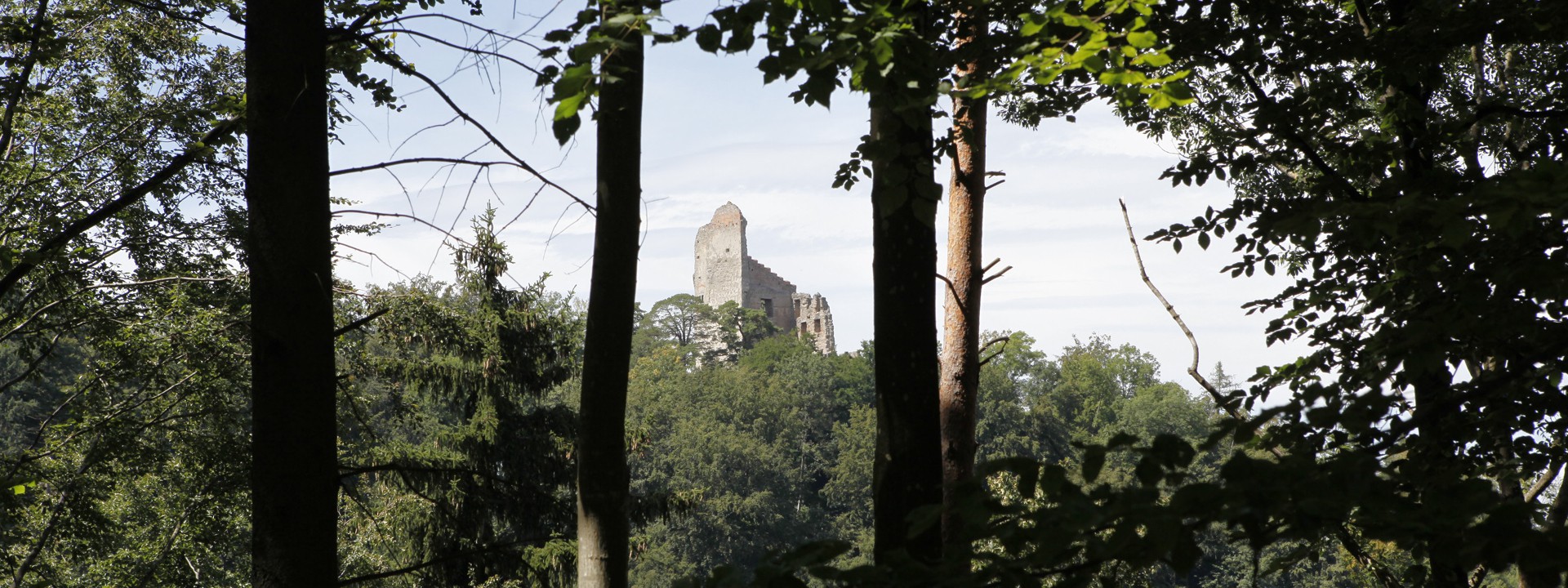 Burgruine Altbodman