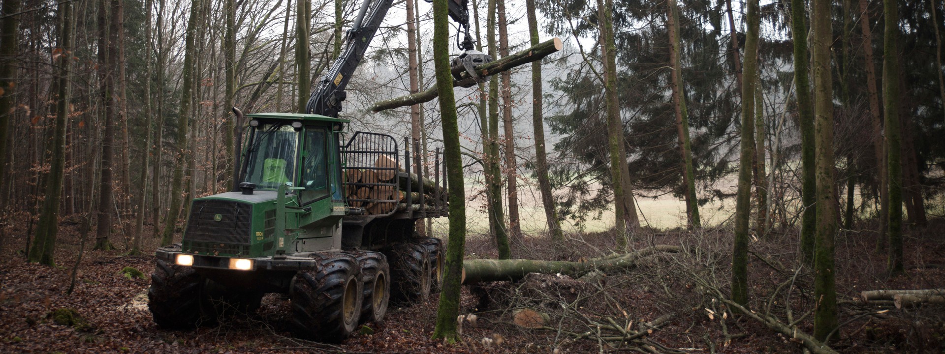 Rückezug mit Waldboden schonenden Niederdruck-Reifen