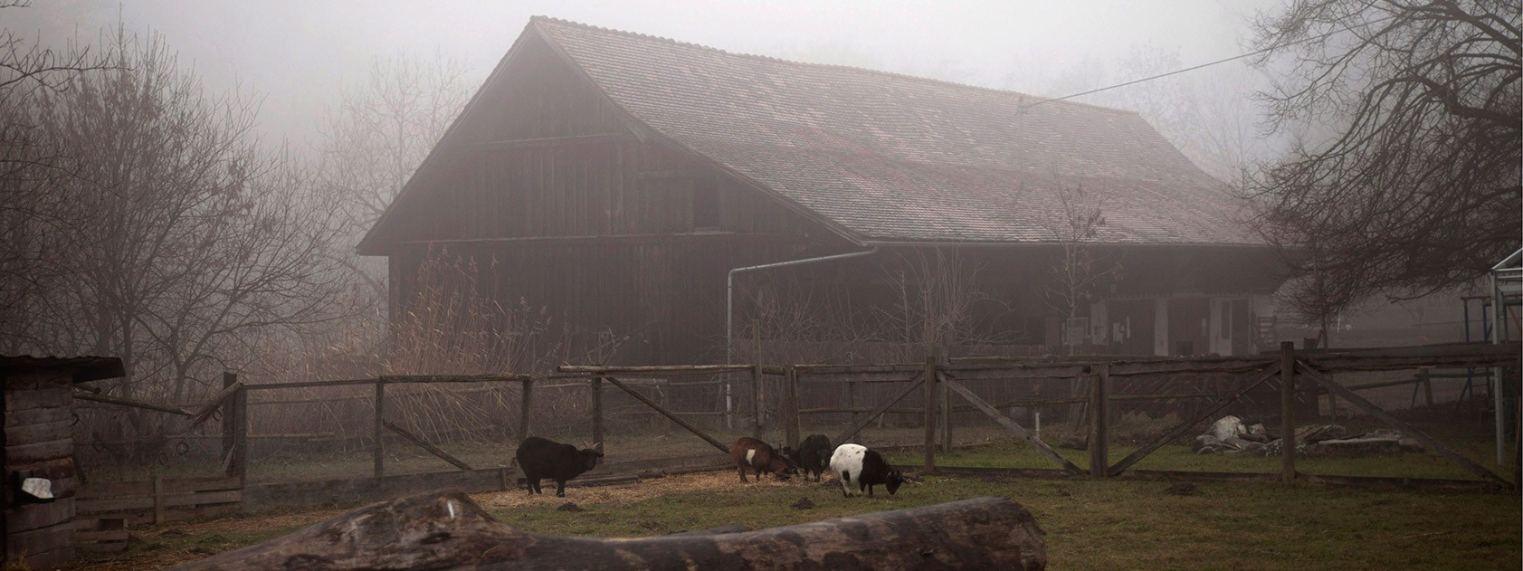 Scheune Hofgut Bodenwald
